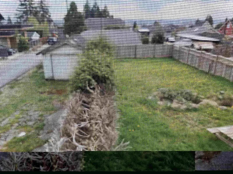535 E 8TH STREET - photo 3 of 6