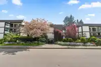 302 1520 VIDAL STREET - thumbnail 2