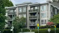 310 8495 JELLICOE STREET - thumbnail 23