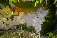 26967 28 AVENUE - thumbnail 5