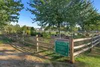 312 5465 201 STREET - thumbnail 26