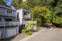 8167 FOREST GROVE DRIVE - thumbnail 1