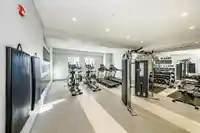 1001 11295 PAZARENA PLACE - thumbnail 23