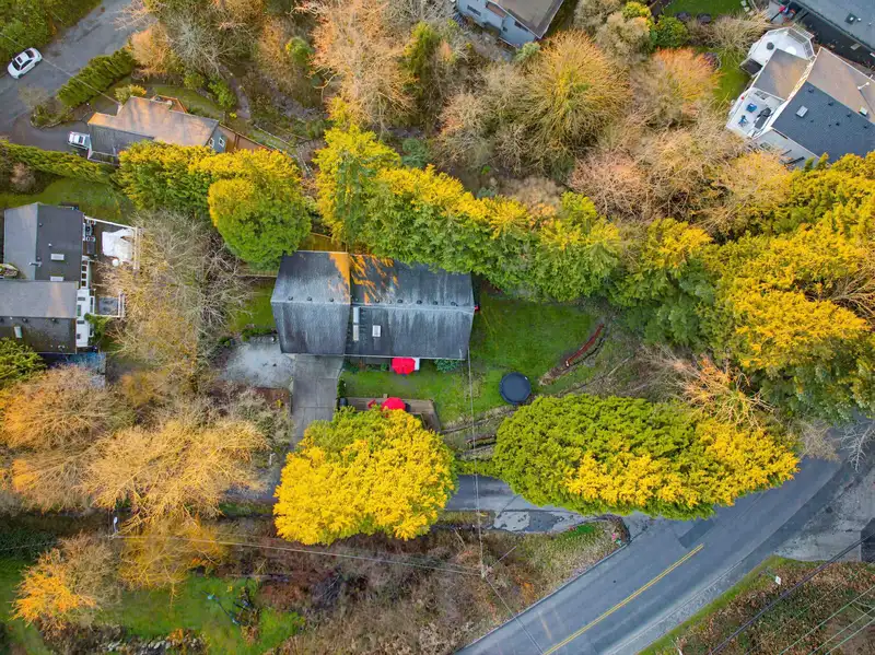 412 ELM STREET - photo 4 of 37