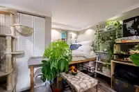 1440 MOUNTAIN HIGHWAY - thumbnail 29