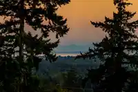 8117 WILTSHIRE BOULEVARD - thumbnail 36