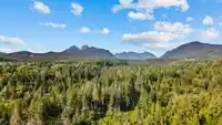 24325 126 AVENUE - thumbnail 40