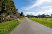 49 6651 203 STREET - thumbnail 37