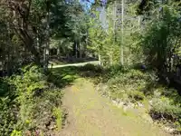 1001 ROBSON WAY - thumbnail 24