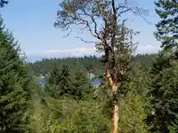 1001 ROBSON WAY - thumbnail 4