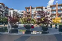 404 719 W 3RD STREET - thumbnail 15