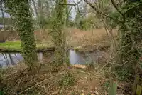 19 2315 198 STREET - thumbnail 33