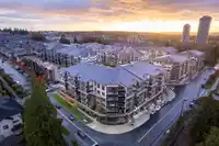 608 20376 86 AVENUE - thumbnail 19