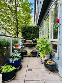 4886 ELDORADO MEWS - thumbnail 1