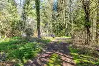 36161 RIDGEVIEW ROAD - thumbnail 2