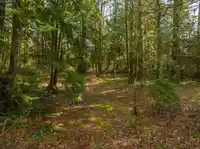 36161 RIDGEVIEW ROAD - thumbnail 3