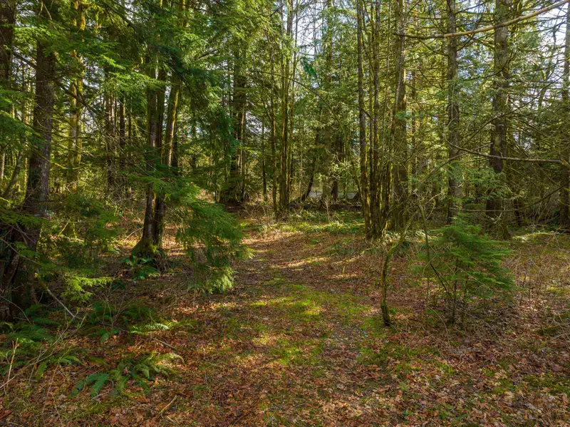 36161 RIDGEVIEW ROAD - photo 3 of 28