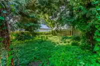 46220 MAPLE AVENUE - thumbnail 40