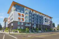 E205 10829 140 STREET - thumbnail 1