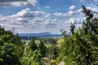 22997 GILBERT DRIVE - thumbnail 16