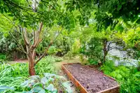 24805 118A AVENUE - thumbnail 23