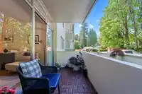 107 1425 ESQUIMALT AVENUE - thumbnail 25