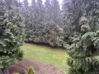 313 3901 CARRIGAN COURT - thumbnail 2