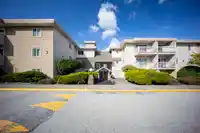 215 11816 88 AVENUE - thumbnail 23