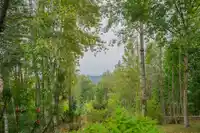 15 36260 MCKEE ROAD - thumbnail 19