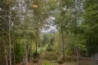 15 36260 MCKEE ROAD - thumbnail 22