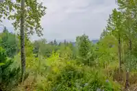 15 36260 MCKEE ROAD - thumbnail 39