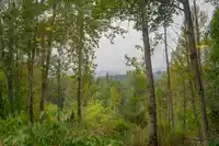15 36260 MCKEE ROAD - thumbnail 9