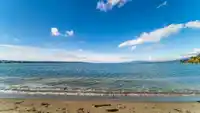 103 1649 COMOX STREET - thumbnail 29