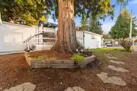 3 6338 VEDDER ROAD - thumbnail 35
