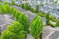 25 20460 66 AVENUE - thumbnail 29