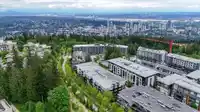 218 9250 UNIVERSITY HIGH STREET - thumbnail 22