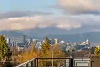 4470 ASH STREET - thumbnail 28