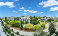 604 5077 CAMBIE STREET - thumbnail 3