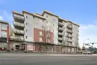 503 22318 LOUGHEED HIGHWAY - thumbnail 18