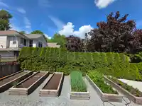 33601 12 AVENUE - thumbnail 14