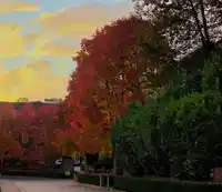 98 3010 RIVERBEND DRIVE - thumbnail 31