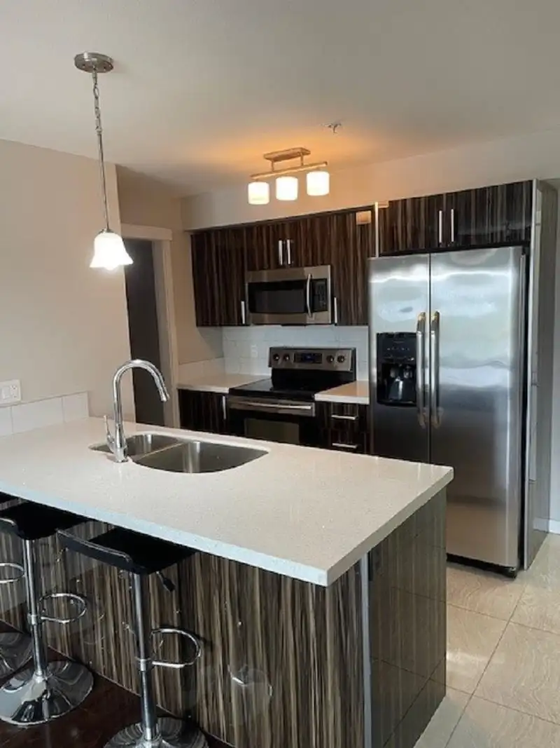 205 22318 LOUGHEED HIGHWAY - photo 4 of 20