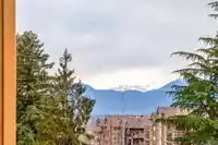 526 8157 207 STREET - thumbnail 34
