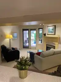 122 5500 ANDREWS ROAD - thumbnail 5