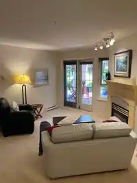 122 5500 ANDREWS ROAD - thumbnail 7