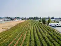 1963 TOWNLINE ROAD - thumbnail 5