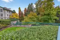 322 19528 FRASER HIGHWAY - thumbnail 29