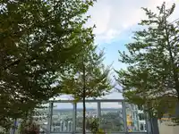4801 3809 EVERGREEN PLACE - thumbnail 31
