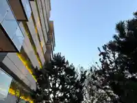 4801 3809 EVERGREEN PLACE - thumbnail 33