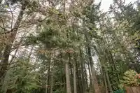 842 LIGHTHOUSE COURT - thumbnail 34